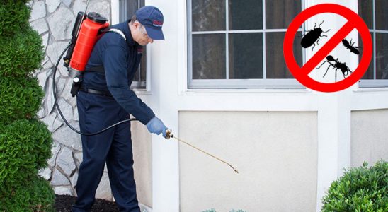 Taşlıçay Dezenfeksiyon böcek ilaçlama ve haşere kontrolü — ilaclama-tr.com